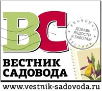 vestnik_logo_site